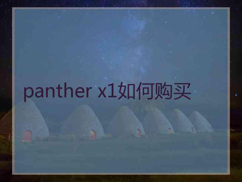 panther x1如何购买