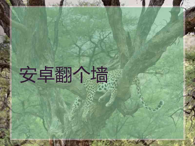 安卓翻个墙