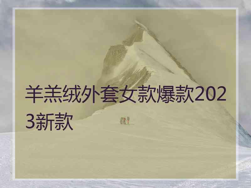羊羔绒外套女款爆款2023新款