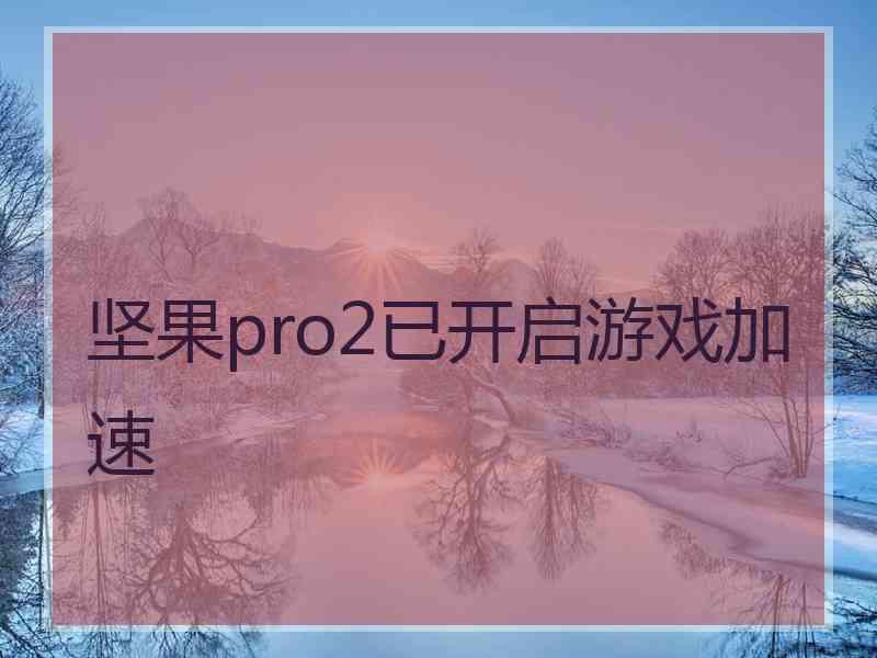 坚果pro2已开启游戏加速