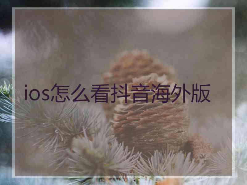ios怎么看抖音海外版