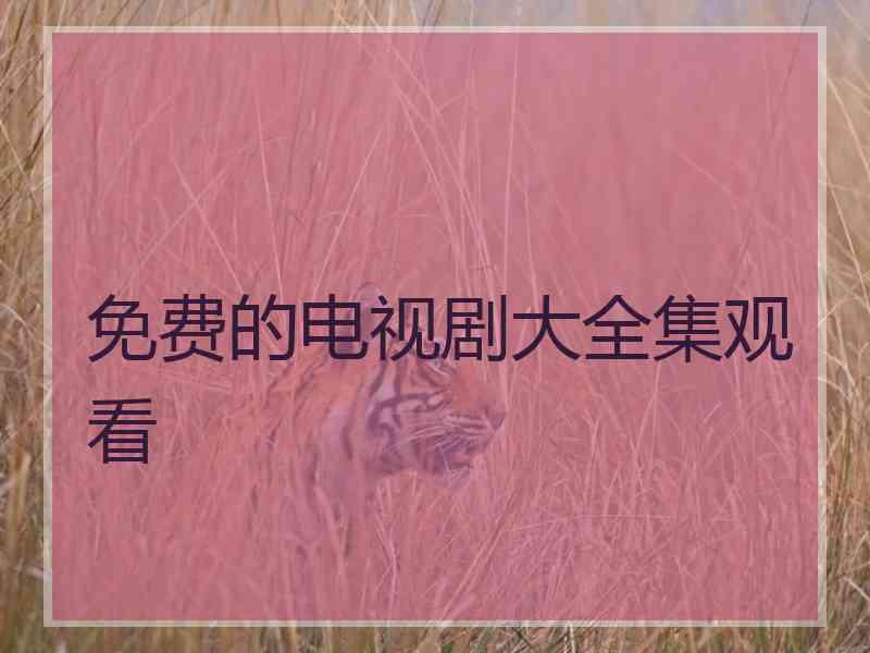 免费的电视剧大全集观看