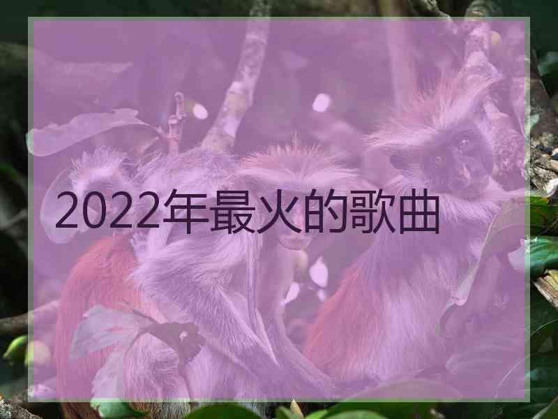 2022年最火的歌曲