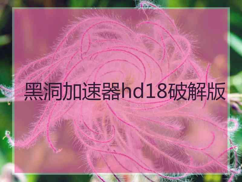 黑洞加速器hd18破解版