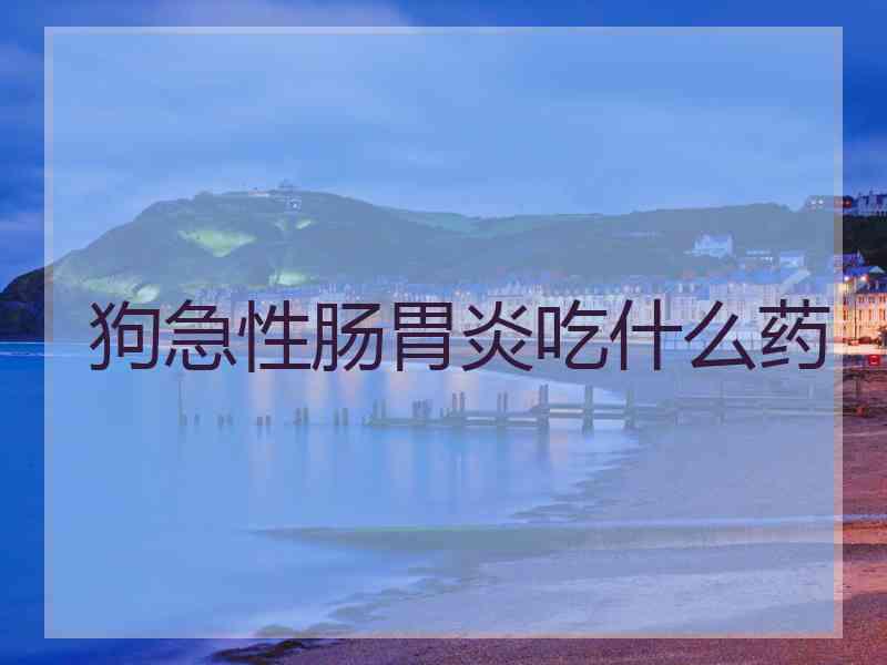 狗急性肠胃炎吃什么药