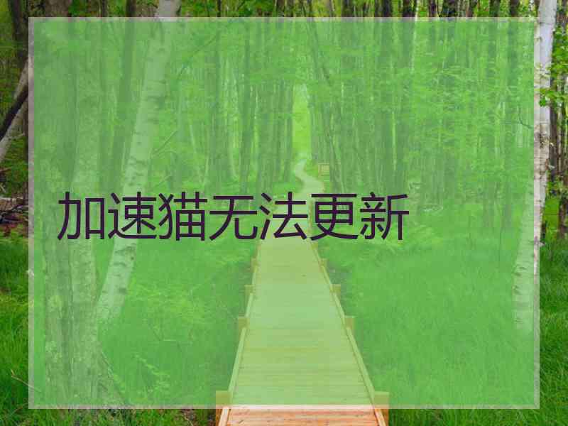 加速猫无法更新