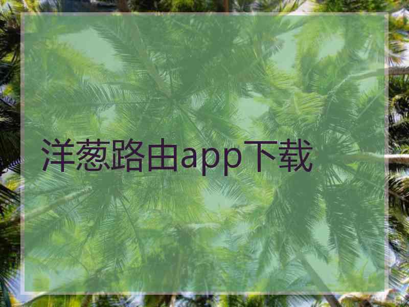洋葱路由app下载
