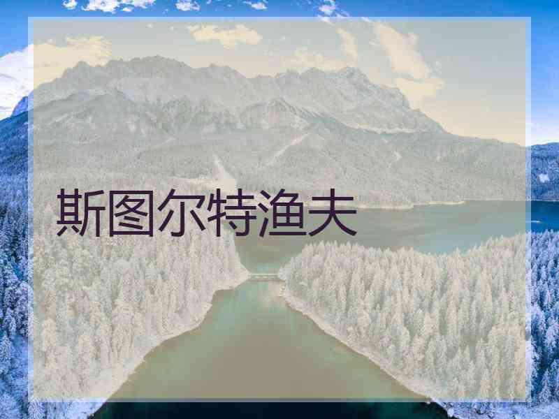 斯图尔特渔夫