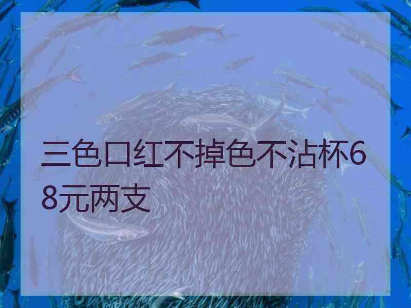 三色口红不掉色不沾杯68元两支
