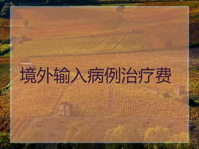 境外输入病例治疗费