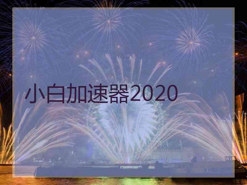 小白加速器2020