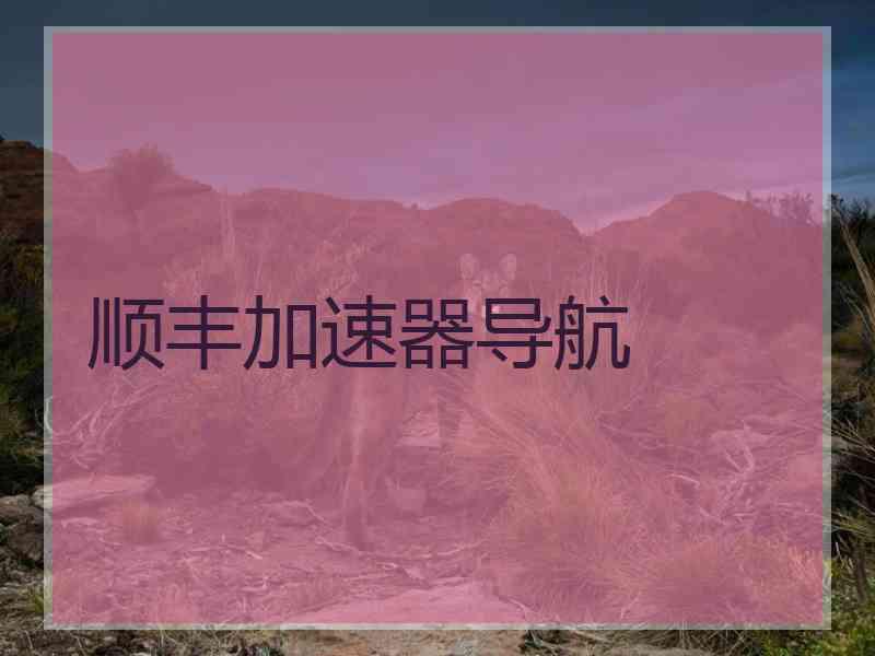 顺丰加速器导航