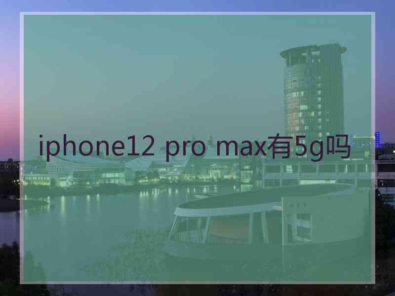 iphone12 pro max有5g吗