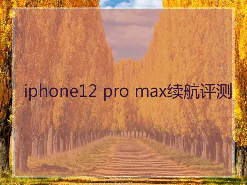 iphone12 pro max续航评测