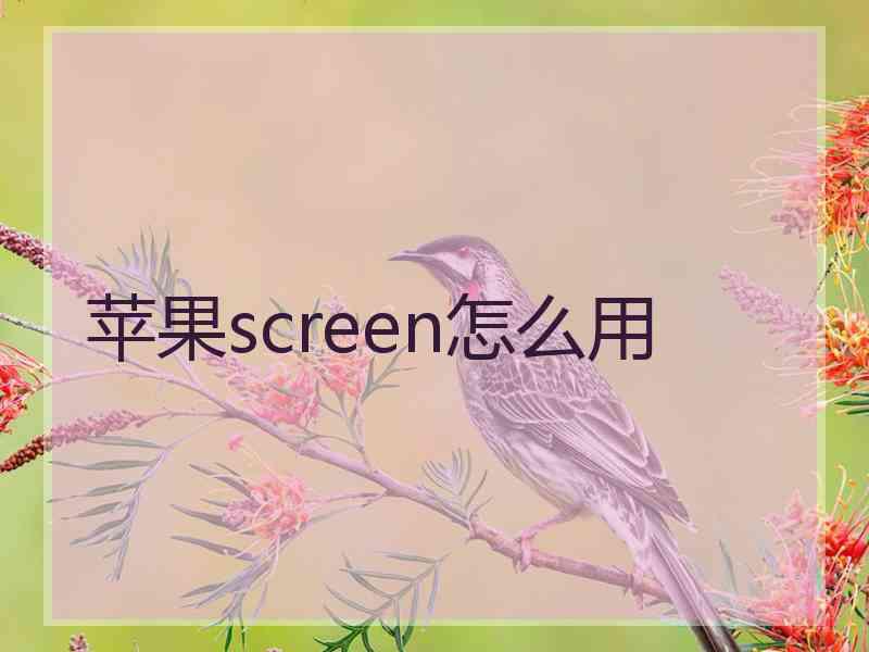 苹果screen怎么用