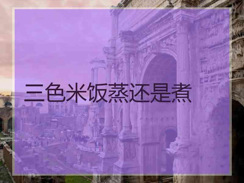 三色米饭蒸还是煮