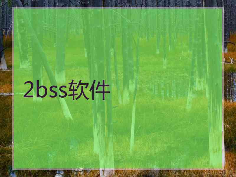 2bss软件