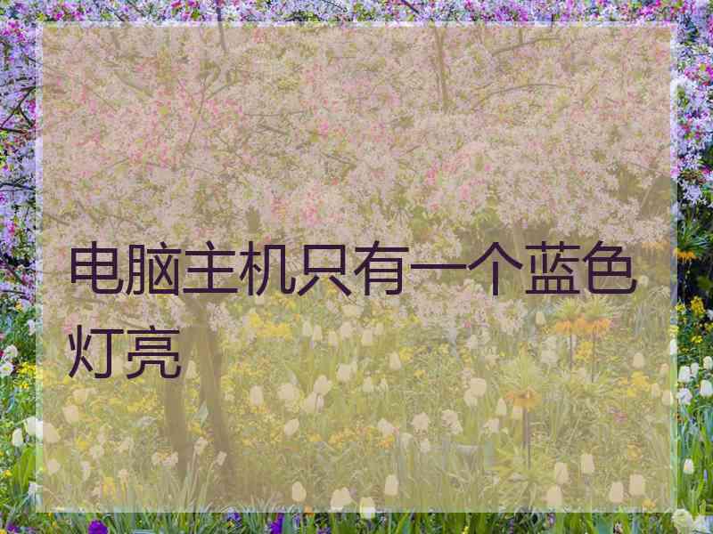 电脑主机只有一个蓝色灯亮