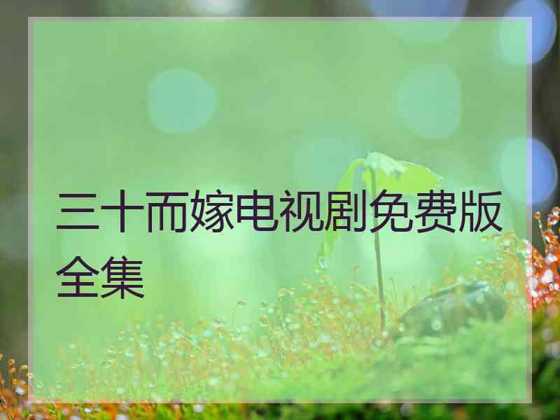 三十而嫁电视剧免费版全集