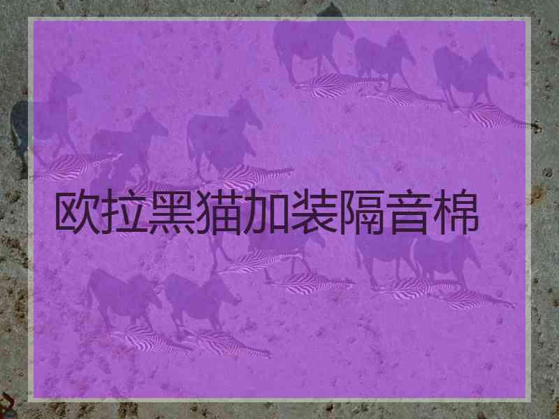 欧拉黑猫加装隔音棉