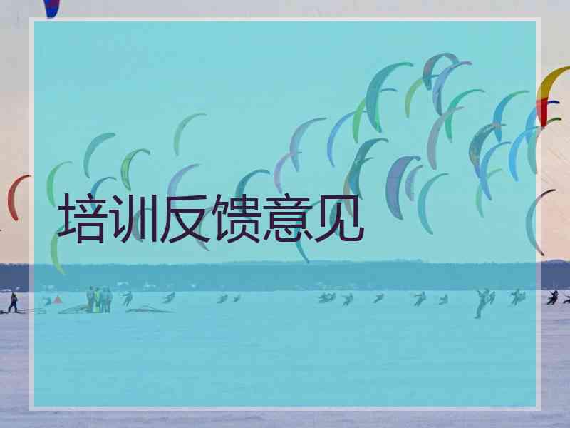 培训反馈意见