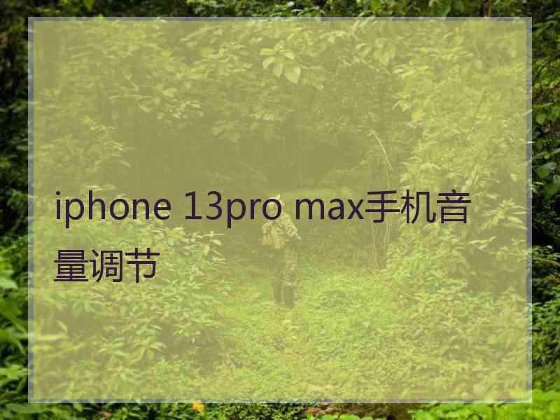 iphone 13pro max手机音量调节