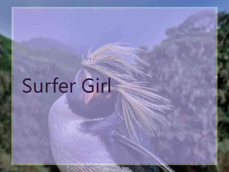 Surfer Girl