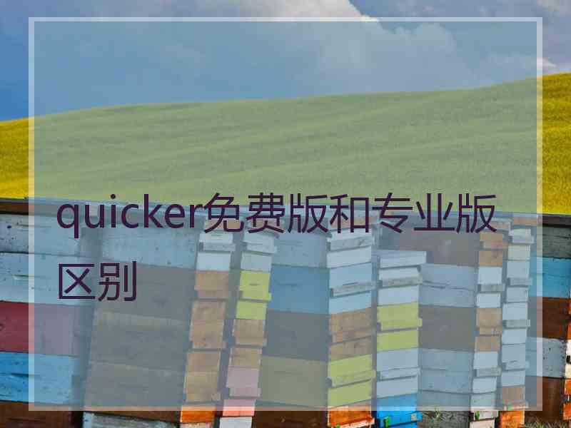 quicker免费版和专业版区别