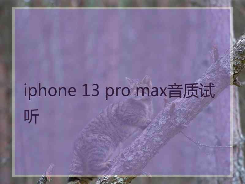 iphone 13 pro max音质试听