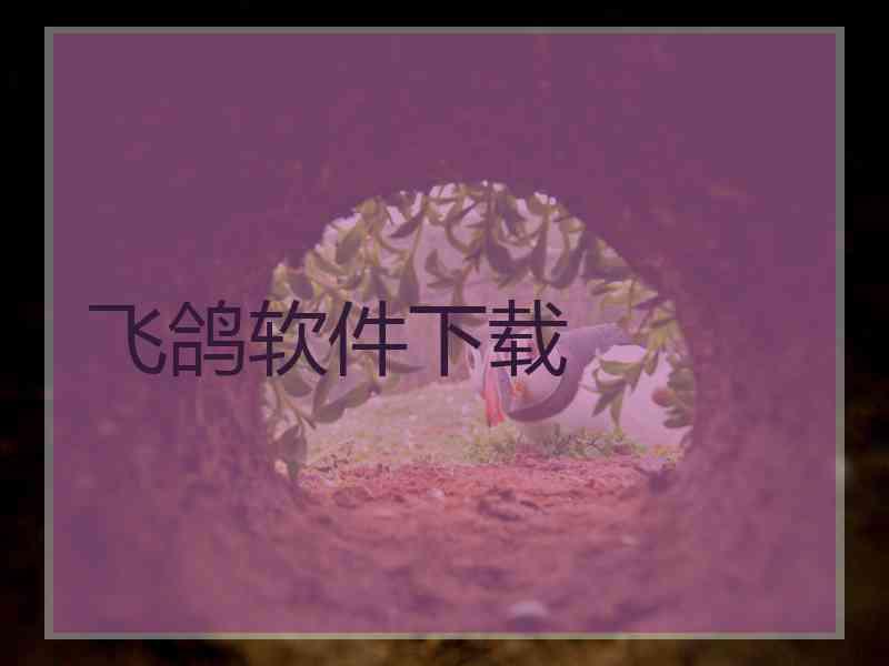 飞鸽软件下载