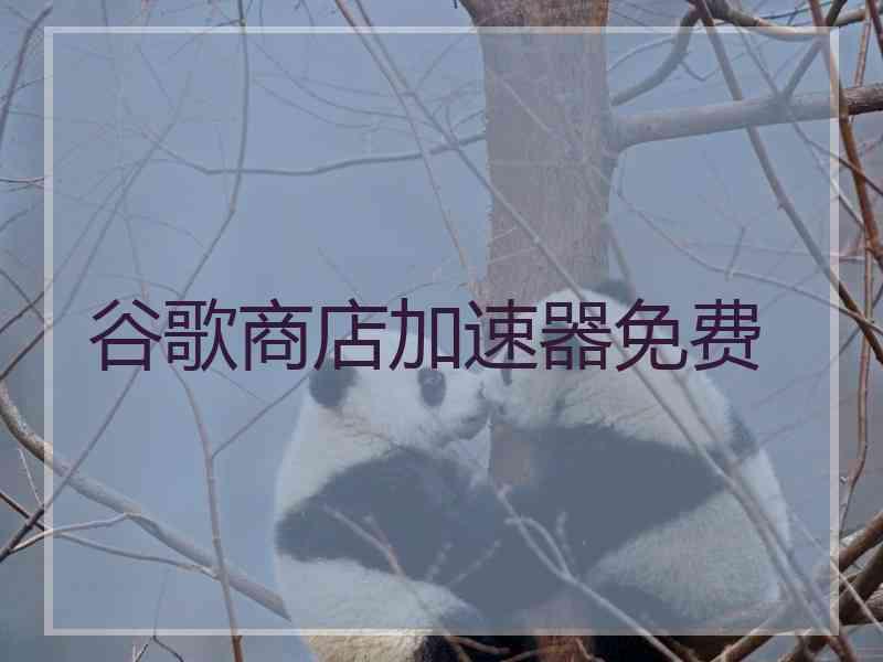 谷歌商店加速器免费