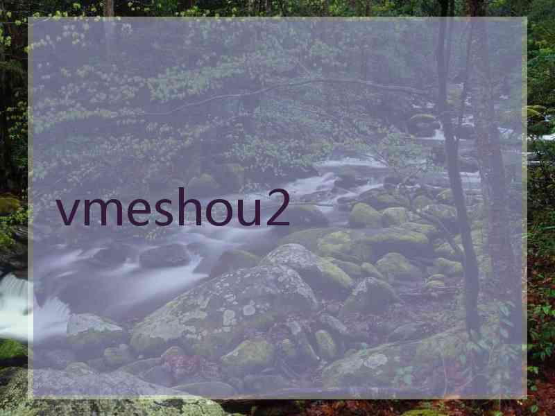vmeshou2