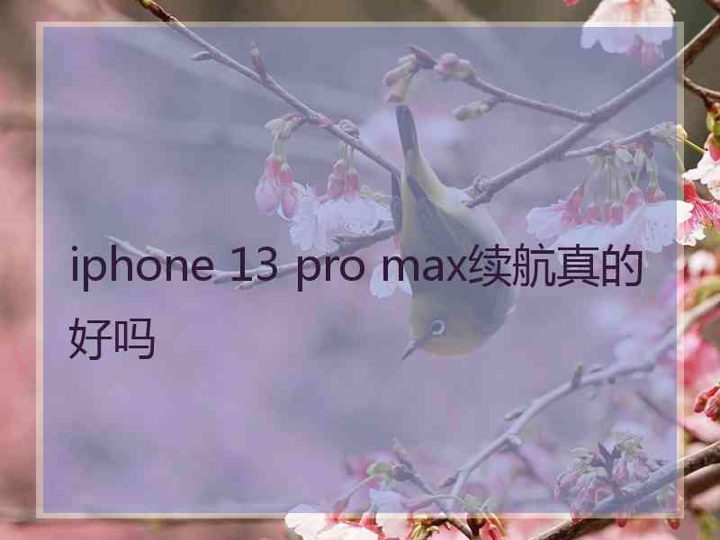 iphone 13 pro max续航真的好吗