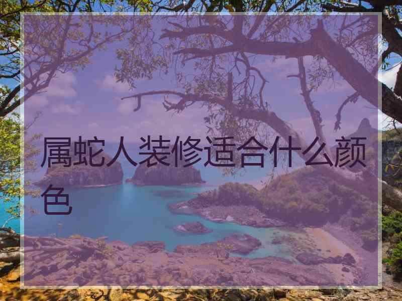 属蛇人装修适合什么颜色