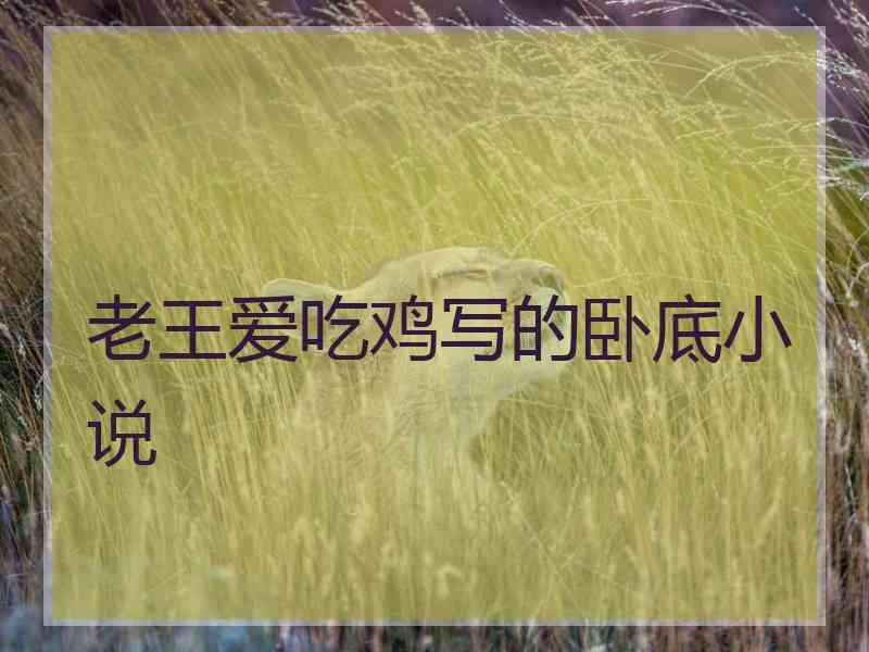 老王爱吃鸡写的卧底小说