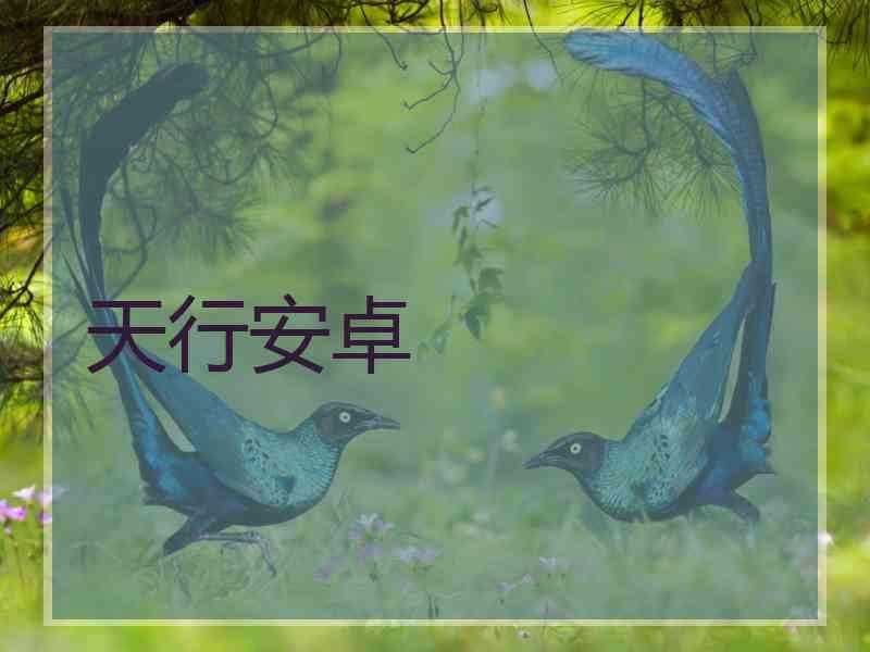 天行安卓