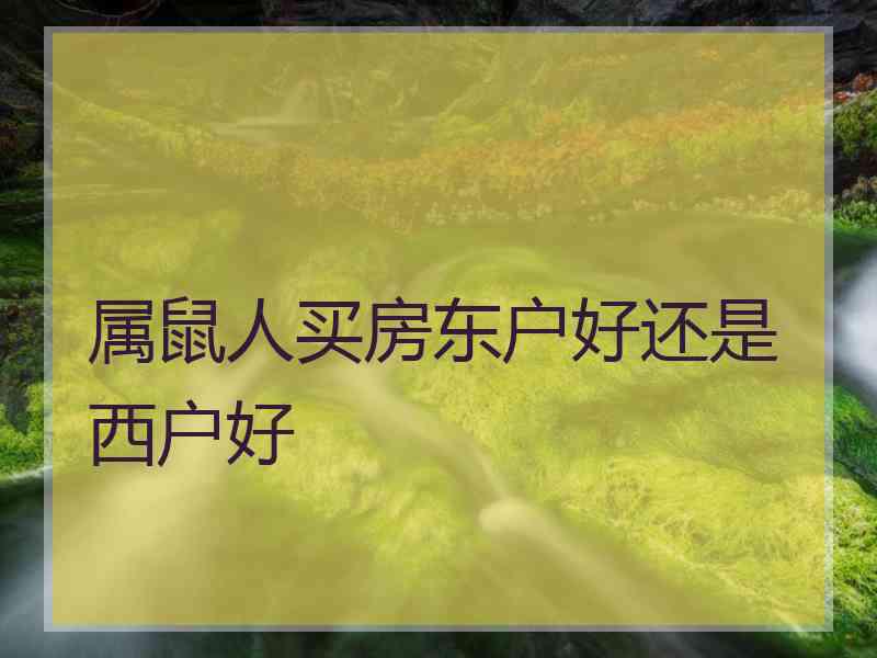 属鼠人买房东户好还是西户好