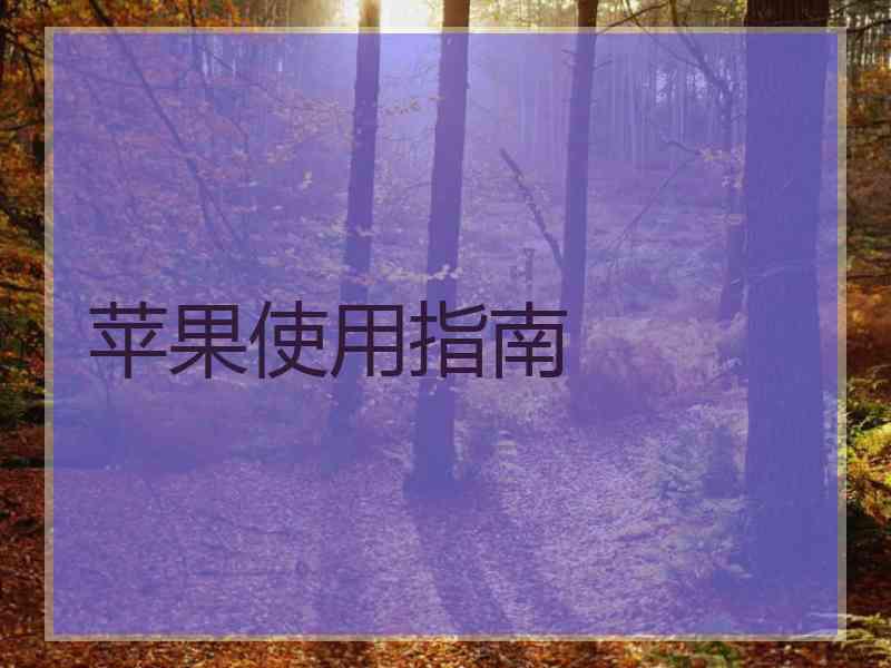 苹果使用指南