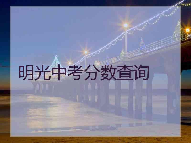 明光中考分数查询