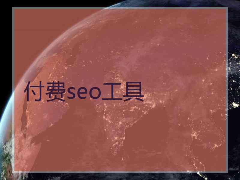 付费seo工具