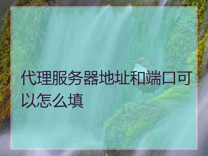 代理服务器地址和端口可以怎么填
