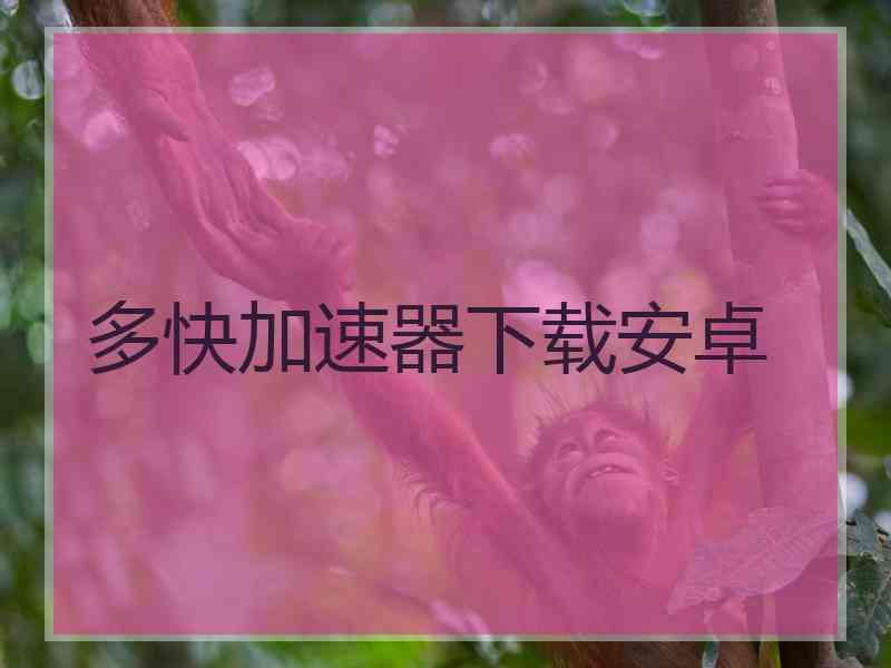 多快加速器下载安卓