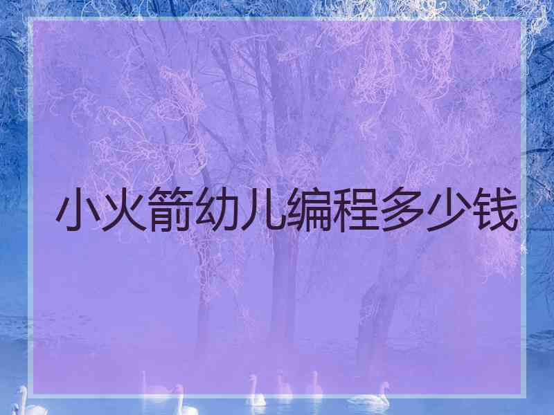 小火箭幼儿编程多少钱