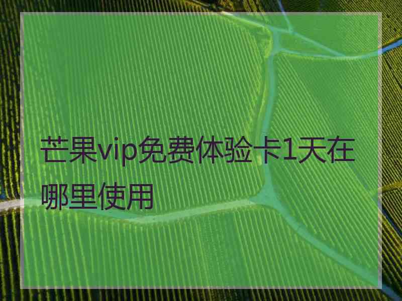 芒果vip免费体验卡1天在哪里使用