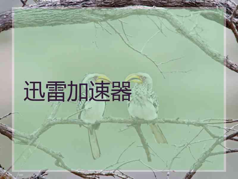 迅雷加速器