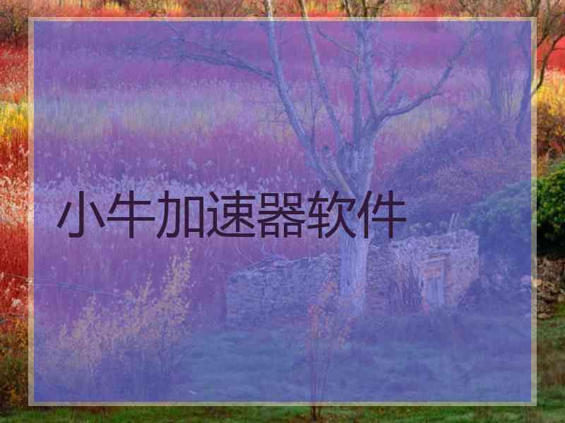 小牛加速器软件