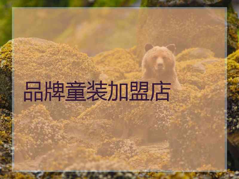 品牌童装加盟店