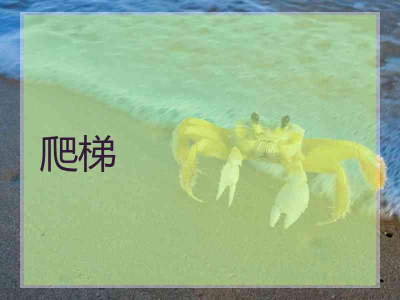 爬梯