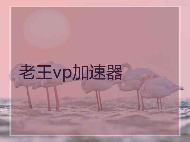 老王vp加速器