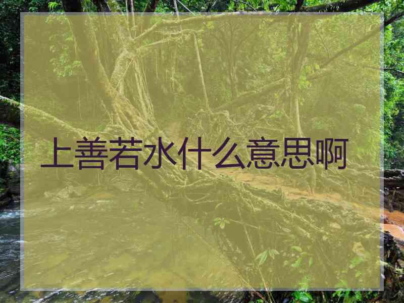 上善若水什么意思啊